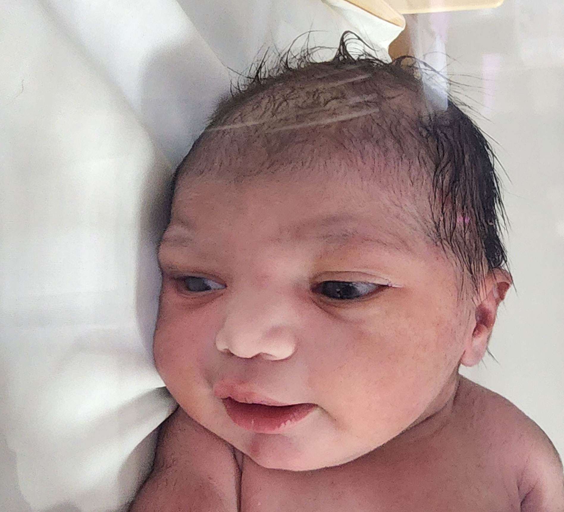 Seraphina Ahmer Khan